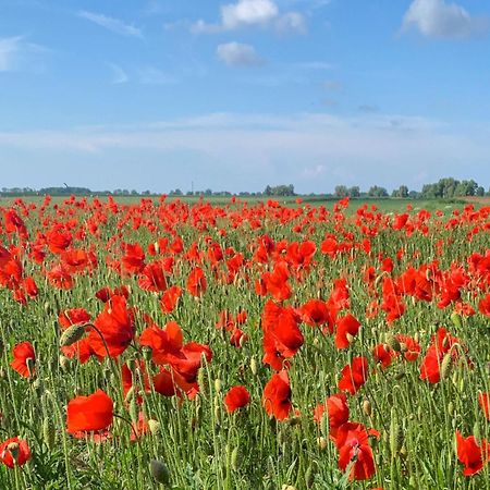 Ferienwohnungen Klein Kapelle Gingst ภายนอก รูปภาพ