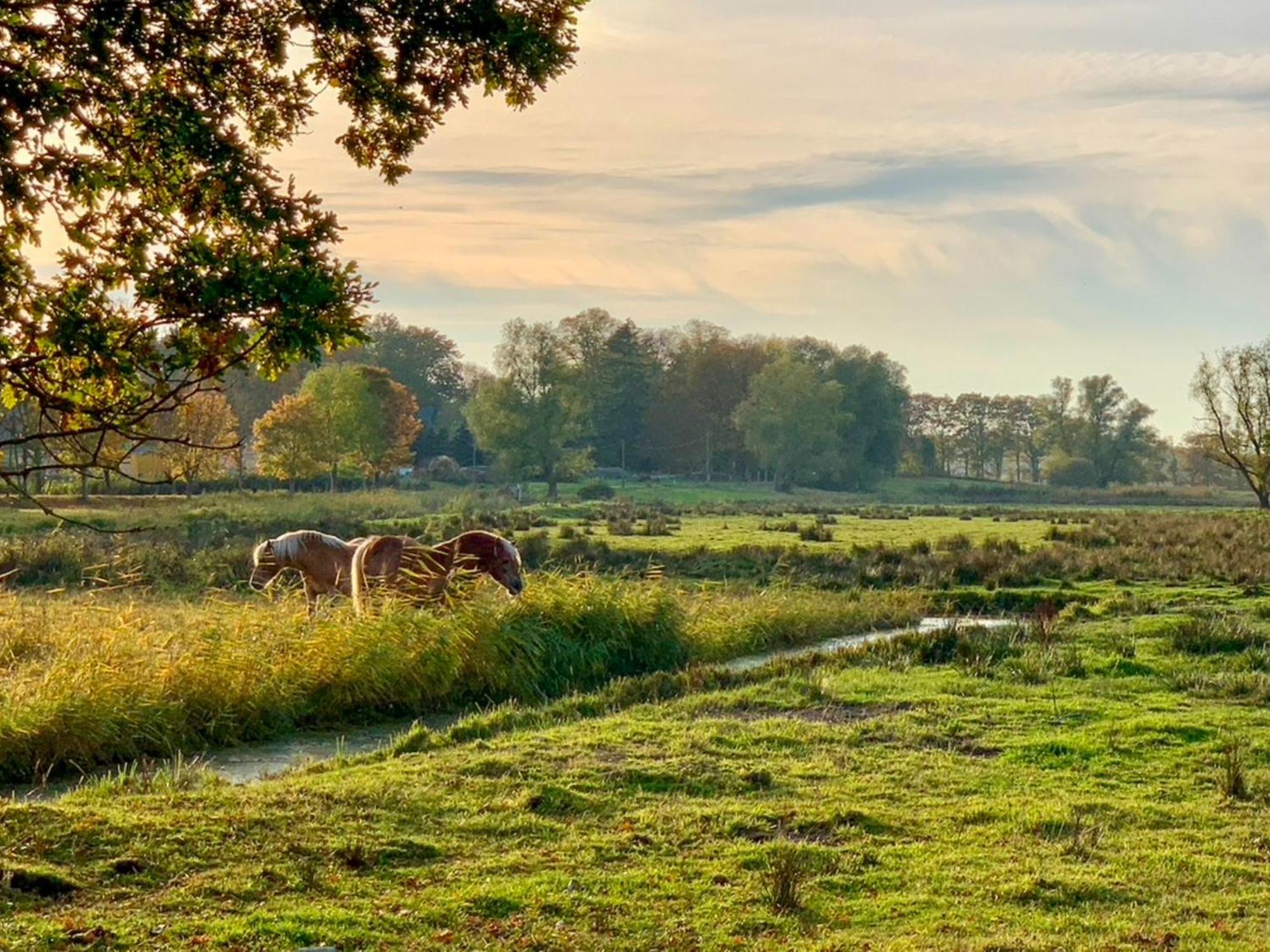 Ferienwohnungen Klein Kapelle Gingst ภายนอก รูปภาพ